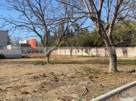  Grundstück zu verkaufen in Saltillo, Coahuila, Saltillo