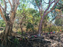  Land for sale in Villa De Alvarez, Colima, Villa De Alvarez, Colima