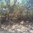  Land for sale in Villa De Alvarez, Colima, Villa De Alvarez