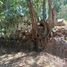  Land for sale in Villa De Alvarez, Colima, Villa De Alvarez