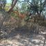  Land for sale in Villa De Alvarez, Colima, Villa De Alvarez, Colima