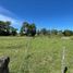  Land for sale in Brandsen, Buenos Aires, Brandsen