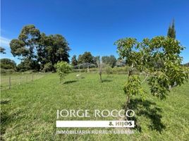  Land for sale in Brandsen, Buenos Aires, Brandsen