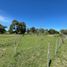  Land for sale in Brandsen, Buenos Aires, Brandsen