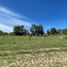  Land for sale in Brandsen, Buenos Aires, Brandsen