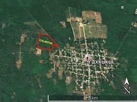  Land for sale in Tixkokob, Yucatan, Tixkokob