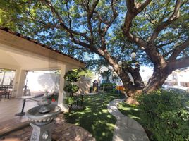 3 Bedroom House for rent in Culiacan, Sinaloa, Culiacan