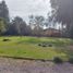  Terreno (Parcela) en venta en Cordillera, Santiago, Pirque, Cordillera