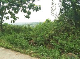  Land for sale in Pengasih, Kulon Progo, Pengasih