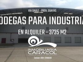  Villa en alquiler en Guayaquil, Guayas, Guayaquil, Guayaquil, Guayas