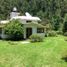 Studio House for sale in Hidalgo, Michoacan, Hidalgo