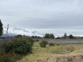  Terreno (Parcela) en venta en Tumbaco, Pichincha, Tumbaco