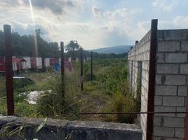  Grundstück zu verkaufen in Guayaquil, Guayas, Guayaquil, Guayaquil
