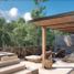 3 Bedroom Condo for sale in Cozumel, Quintana Roo, Cozumel, Quintana Roo