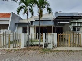 3 Bedroom House for sale in Sukolilo, East Jawa, Sukolilo