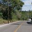  Land for sale in Miacatlan, Morelos, Miacatlan