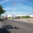  Land for rent in Culiacan, Sinaloa, Culiacan