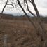  Land for rent in Santiago, Nuevo Leon, Santiago