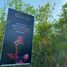  Land for sale in Sinanche, Yucatan, Sinanche