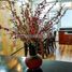 3 Bedroom House for rent in An Phu, Ho Chi Minh City, An Phu