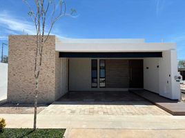 Maison 3 chambre à vendre à Conkal, Yucatan, Conkal