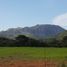  Land for sale in Penonome, Cocle, Penonome, Penonome