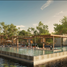  Land for sale in Hunucma, Yucatan, Hunucma