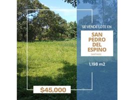  Terreno (Parcela) en venta en La Mesa, Veraguas, La Mesa, La Mesa