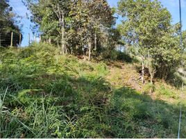  Land for sale in La Ceja, Antioquia, La Ceja