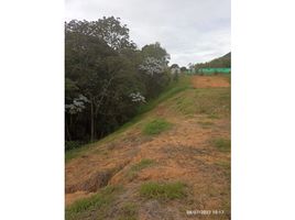  Land for sale in La Ceja, Antioquia, La Ceja