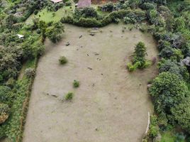  Terrain for sale in Girardota, Antioquia, Girardota