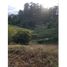  Land for sale in Marinilla, Antioquia, Marinilla