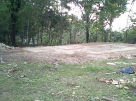  Land for sale in Sukabumi, West Jawa, Sukabumi