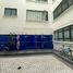 1 Habitación Apartamento en alquiler en Miguel Hidalgo, Ciudad de México, Miguel Hidalgo