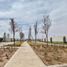  Land for sale in Matamoros, Coahuila, Matamoros
