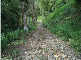  Land for sale in Santa Rosa De Cabal, Risaralda, Santa Rosa De Cabal