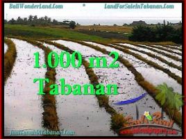  Tanah for sale in Selemadeg, Tabanan, Selemadeg