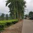  Terrain for sale in Puncak Gunung Mas Tea Gardens, Cisarua, Cisarua