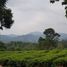  Terrain for sale in Puncak Gunung Mas Tea Gardens, Cisarua, Cisarua