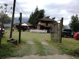 3 Schlafzimmer Haus zu verkaufen in Otavalo, Imbabura, San Juan De Iluman