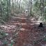  Land for sale in Chichimila, Yucatan, Chichimila
