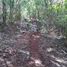  Land for sale in Chichimila, Yucatan, Chichimila