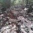  Land for sale in Chichimila, Yucatan, Chichimila