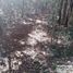  Land for sale in Chichimila, Yucatan, Chichimila