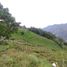  Terreno (Parcela) en venta en La Ceja, Antioquia, La Ceja, Antioquia, Colombia