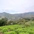  Terreno (Parcela) en venta en La Ceja, Antioquia, La Ceja, Antioquia, Colombia