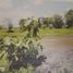  Land for sale in Parang Lo'e, South Sulawesi, Parang Lo'e, Gowa