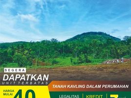  Tanah for sale in Malang Regency, East Jawa, Pakisaji, Malang Regency