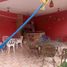 4 Schlafzimmer Haus zu verkaufen in Villa Guerrero, Mexico, Villa Guerrero