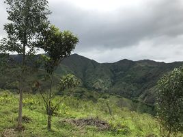  Land for sale in Loja, Vilcabamba Victoria, Loja, Loja